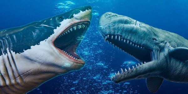 7 Scary Prehistoric Marine Dinosaurs from the Ocean - Oceanness