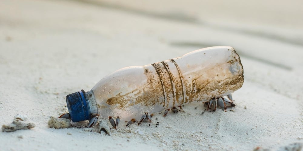 Plastic bottle on the beach by the ocean