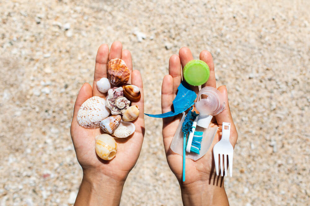Oceanness microplastic collected by the beach